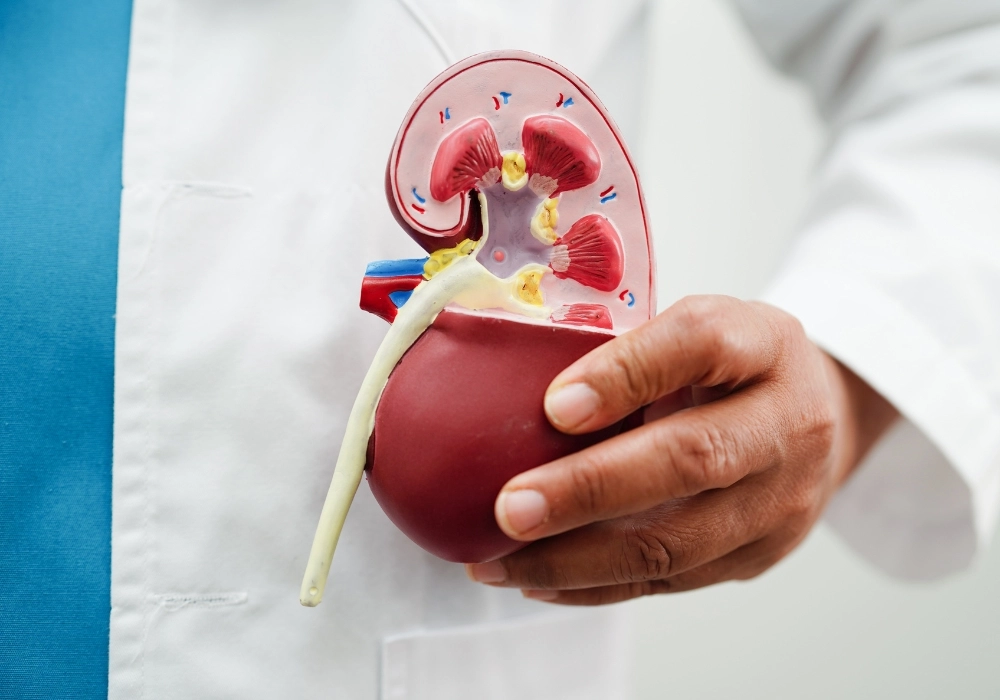 Kidney Transplant in Chennai