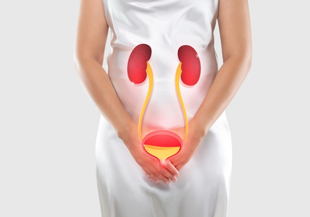 Bladder Cancer Treatment in Chennai