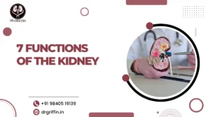 7 Functions of The Kidney
