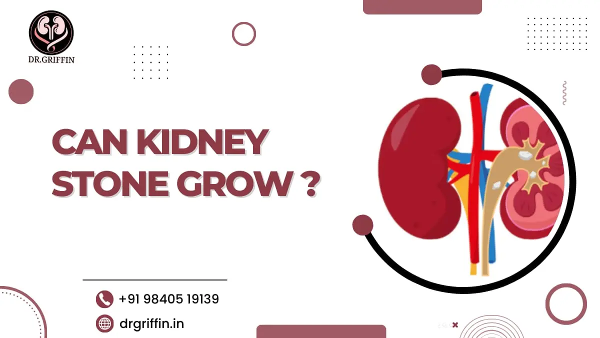 Can Kidney Stone Grow