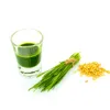 Wheatgrass Juice