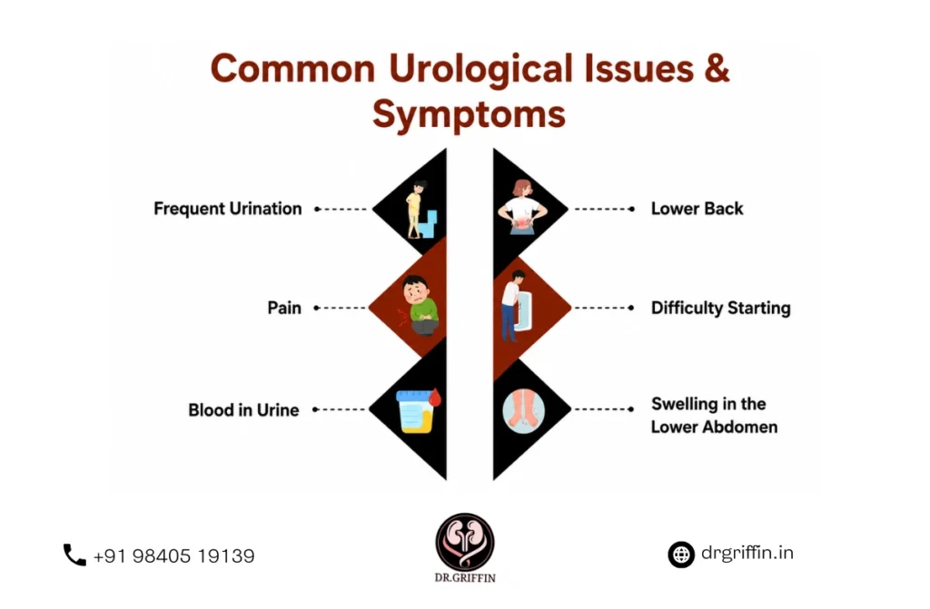 Best Urologist in Chennai