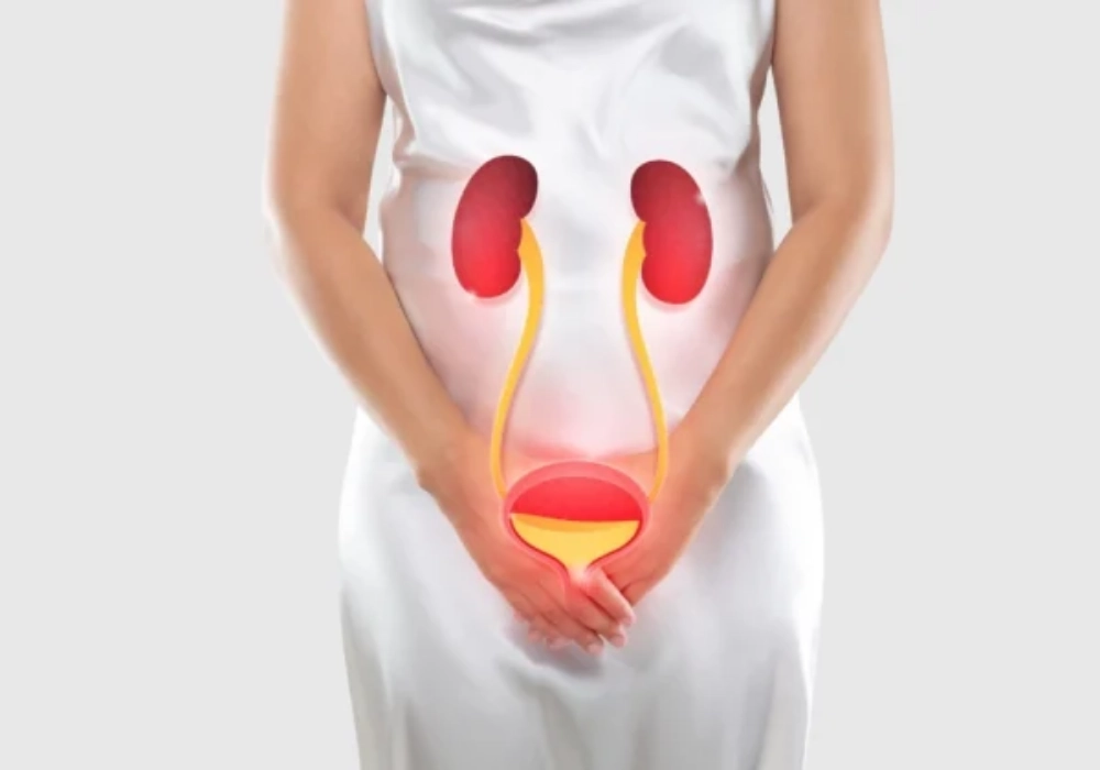 Bladder Cancer