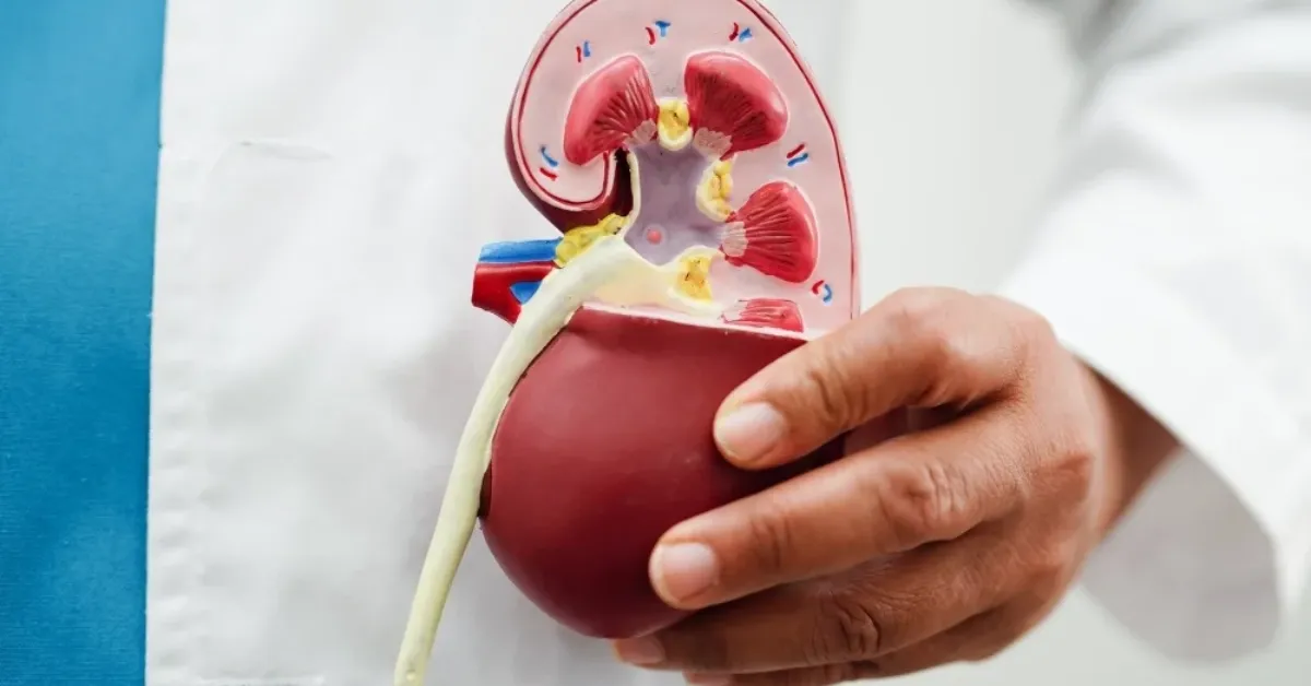Kidney Transplant