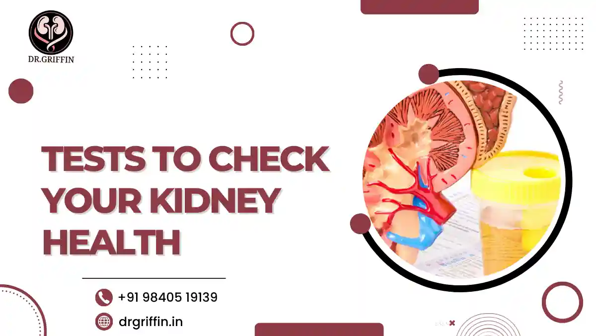 Tests to Check Your Kidney Health