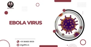 Ebola Virus