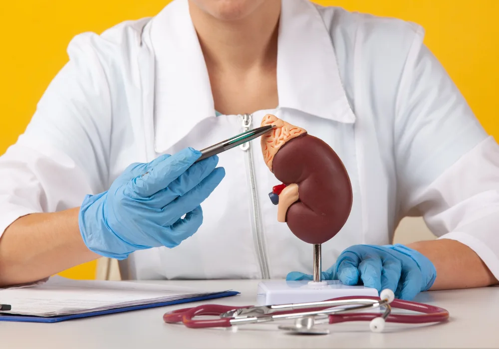 Kidney Cancer