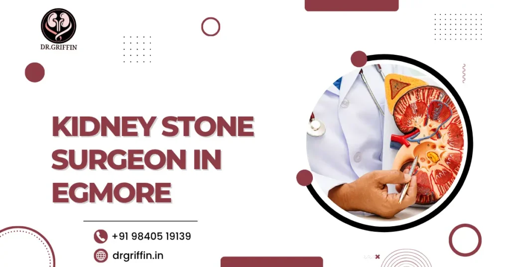 Kidney Stone Surgeon in Egmore