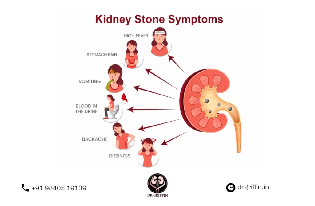Best Urologist in Neelankarai