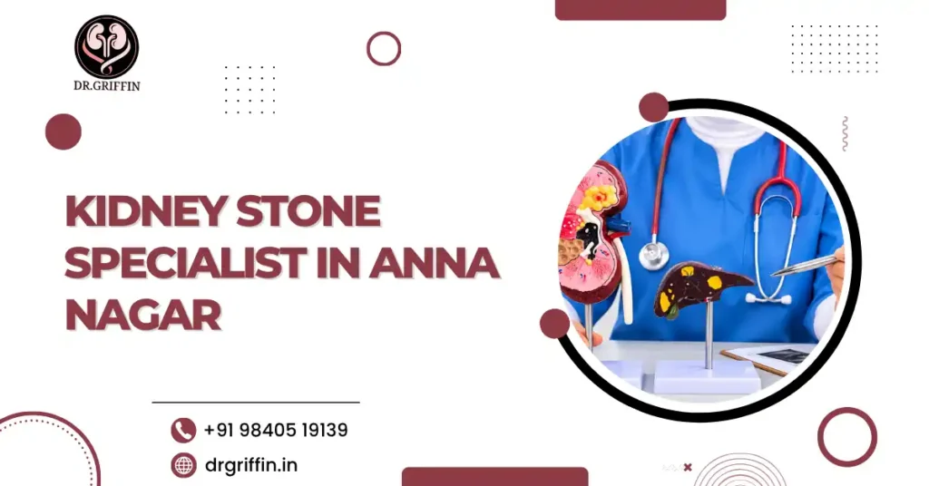 Kidney Stone Specialist in Anna Nagar